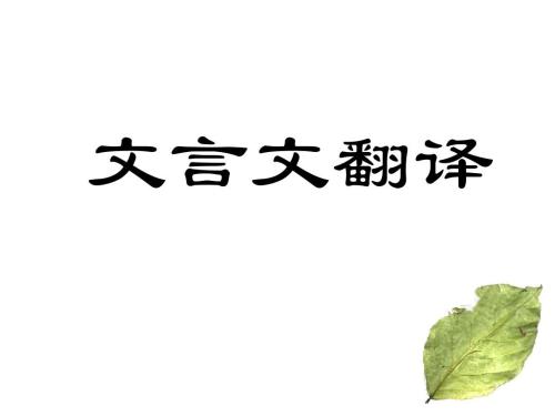 ?成考語(yǔ)文考試