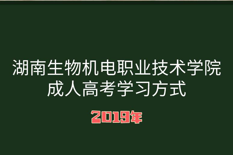 湖南成人高考學習方式