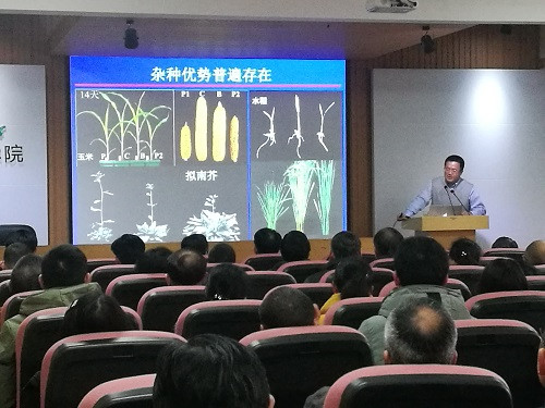 湖南農業大學