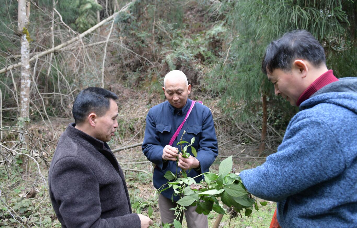 湖南醫藥學院